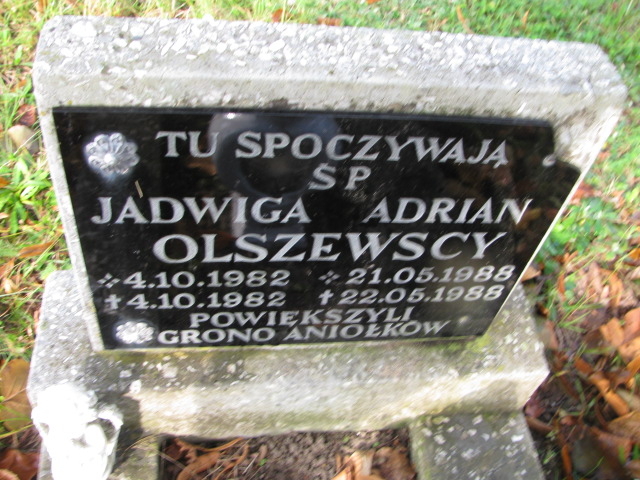 Adrian Olszewski 1988 Gmina Żagań - Grobonet - Wyszukiwarka osób pochowanych