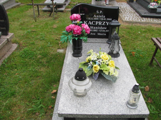 Grób Władysława Łochowska